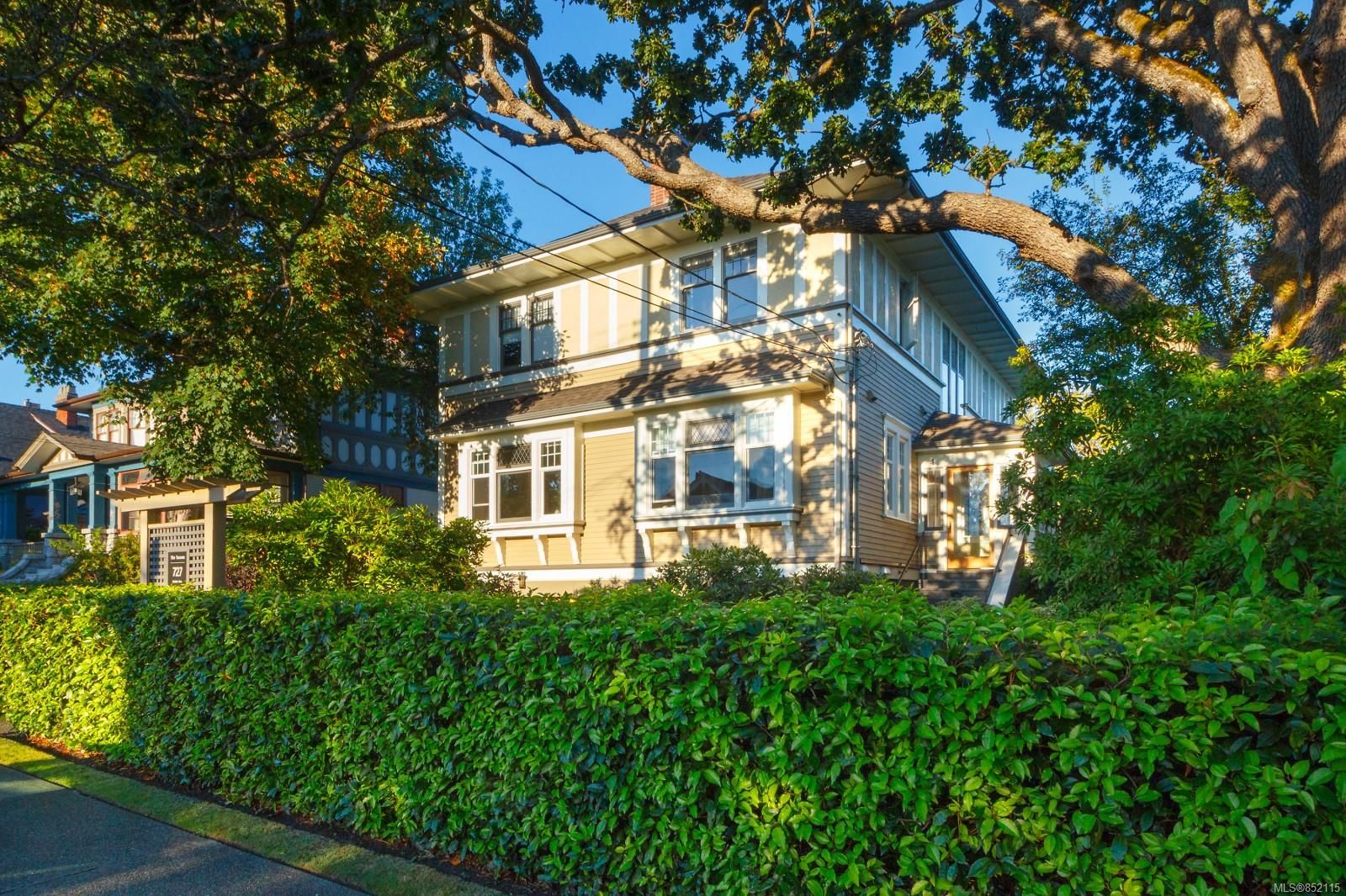 Main Photo: 3 727 Linden Ave in Victoria: Vi Fairfield West Row/Townhouse for sale : MLS®# 852115