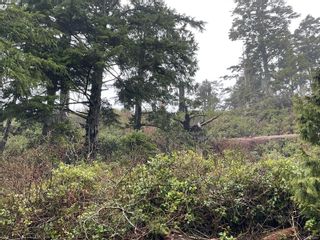 Photo 16: LOT 12 Marine Dr in Ucluelet: PA Ucluelet Land for sale (Port Alberni)  : MLS®# 916951