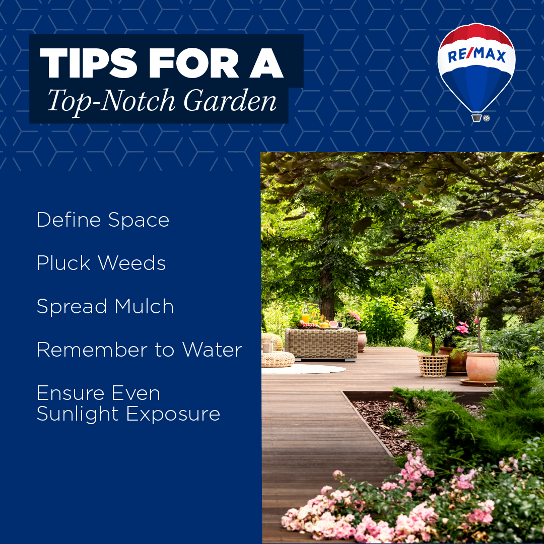 Tips For A Top-Notch Garden