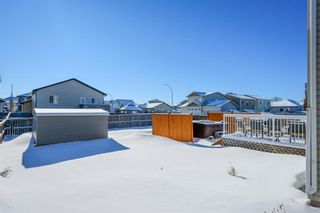 Photo 23: 1 Goddard Circle: Carstairs Detached for sale : MLS®# A2010957
