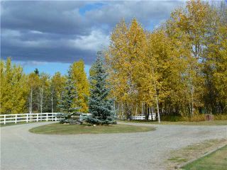 Photo 8: 43141 TWP RD 283 in COCHRANE: Rural Rocky View MD Residential Detached Single Family for sale : MLS®# C3506968