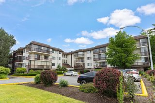 Photo 36: 215 2414 CHURCH Street in Abbotsford: Abbotsford West Condo for sale in "AUTUMN TERRACE" : MLS®# R2699084