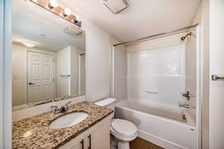 Photo 39: 1308 99 Copperstone Park SE in Calgary: Copperfield Apartment for sale : MLS®# A2124079