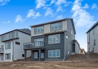 Photo 39: 190 Baneberry Way SW: Airdrie Detached for sale : MLS®# A2095571