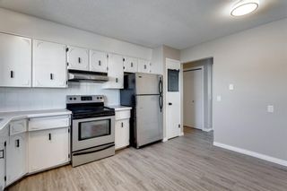 Photo 12: 3812 49 Street NE in Calgary: Whitehorn Detached for sale : MLS®# A1054455