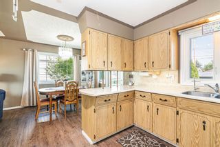 Photo 10: : Lacombe Detached for sale : MLS®# A1251544