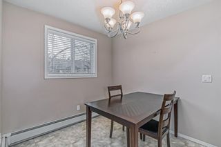 Photo 9: 246 165 Manora Place NE in Calgary: Marlborough Park Apartment for sale : MLS®# A2021263
