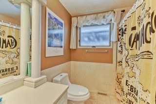 Photo 27: 10843 Mapleshire Crescent SE in Calgary: Maple Ridge Detached for sale : MLS®# A1099704