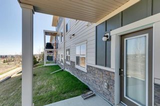 Photo 33: 503 428 Nolan Hill Drive NW in Calgary: Nolan Hill Row/Townhouse for sale : MLS®# A2130682