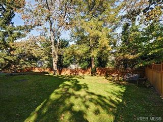 Photo 19: 3921 Blenkinsop Rd in VICTORIA: SE Maplewood House for sale (Saanich East)  : MLS®# 714750