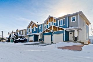 Photo 39: 143 2802 KINGS HEIGHTS Gate SE: Airdrie Row/Townhouse for sale : MLS®# A1009091