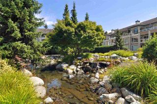 Photo 12: 219 3608 DEERCREST Drive in North Vancouver: Roche Point Condo for sale in "Deerfield at Ravenwoods" : MLS®# R2198119