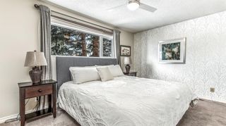 Photo 20: 528 Willacy Drive SE in Calgary: Willow Park Detached for sale : MLS®# A2032011