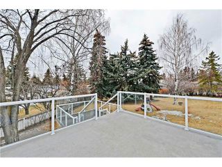 Photo 33: 8 LORNE Place SW in Calgary: North Glenmore Park House for sale : MLS®# C4052972