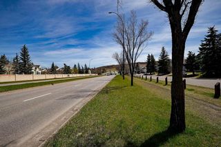 Photo 15: 123 Macewan Glen Close NW in Calgary: MacEwan Glen Detached for sale : MLS®# A2131138