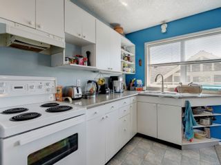Photo 25: 52 Linden Ave in Victoria: Vi Fairfield West House for sale : MLS®# 907365
