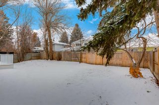 Photo 47: 507 Willow Brook Drive SE in Calgary: Willow Park Detached for sale : MLS®# A2106706