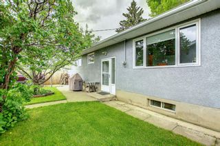 Photo 35: 724 Macleay Road NE in Calgary: Mayland Heights Detached for sale : MLS®# A1232203