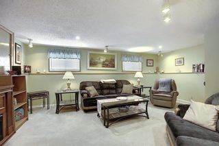 Photo 20: 305 Martinwood Place NE in Calgary: Martindale Detached for sale : MLS®# A1038589