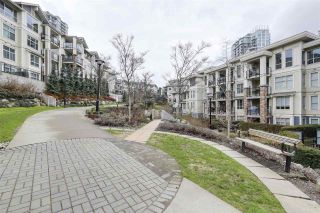 Photo 4: 101 265 ROSS Drive in New Westminster: Fraserview NW Condo for sale in "THE GROVE" : MLS®# R2187112