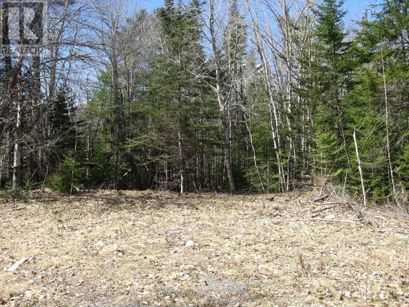 Main Photo: 483 Northfield Road in Northfield: Vacant Land for sale : MLS®# 202206879