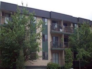 Photo 1: 212 45744 SPADINA Avenue in Chilliwack: Chilliwack Downtown Condo for sale in "APPLEWOOD COURT" : MLS®# R2743393