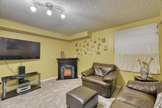 Photo 42: 455 Prestwick Circle SE in Calgary: McKenzie Towne Detached for sale : MLS®# A1104583