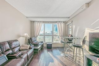 Photo 21: 806 8710 horton Road SW in Calgary: Haysboro Apartment for sale : MLS®# A2013640