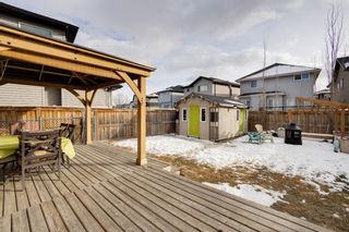Photo 27: 23 Walden Court SE in Calgary: Walden Detached for sale : MLS®# A1191529