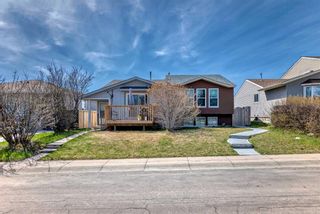 Photo 41: 59 Falchurch Road NE in Calgary: Falconridge Semi Detached (Half Duplex) for sale : MLS®# A2130839