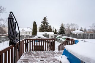 Photo 29: 31 Pauline Boutal Crescent in Winnipeg: Island Lakes Residential for sale (2J)  : MLS®# 202300153