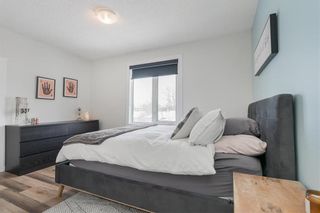 Photo 23: 1329 Somerville Avenue in Winnipeg: West Fort Garry Residential for sale (1Jw)  : MLS®# 202303478
