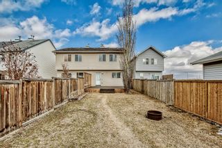 Photo 41: 145 Elgin Place SE in Calgary: McKenzie Towne Semi Detached (Half Duplex) for sale : MLS®# A2025646