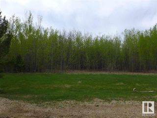 Photo 27: 50 Ave RR 281: Rural Wetaskiwin County Rural Land/Vacant Lot for sale : MLS®# E4299520