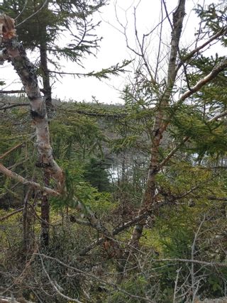 Photo 3: Lot AZ Mcgraths Cove Road in McGraths Cove: 40-Timberlea, Prospect, St. Marg Vacant Land for sale (Halifax-Dartmouth)  : MLS®# 202205476
