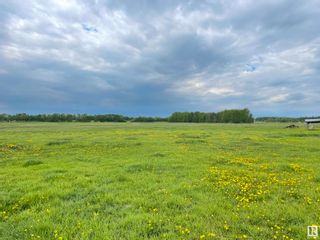 Photo 14: 605XX RGE RD 232: Rural Thorhild County Vacant Lot/Land for sale : MLS®# E4358512