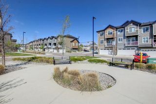 Photo 36: 63 Nolan Hill Boulevard NW in Calgary: Nolan Hill Row/Townhouse for sale : MLS®# A1221570