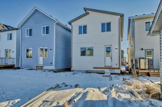 Photo 50: 175 Belvedere Green SE in Calgary: Belvedere Detached for sale : MLS®# A2094403