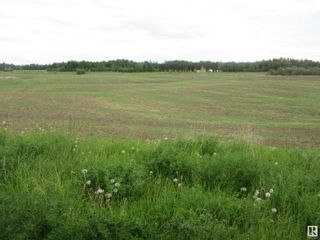 Photo 15: Twp Rd 612 RR 223: Rural Thorhild County Vacant Lot/Land for sale : MLS®# E4318876