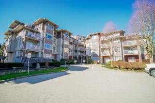 Photo 6: 105 7337 MACPHERSON Avenue in Burnaby: Metrotown Condo for sale in "CADENCE" (Burnaby South)  : MLS®# R2663698