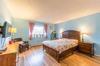 Photo 16: 4337 HERMITAGE DRIVE in Richmond: Steveston North House for sale : MLS®# R2162124