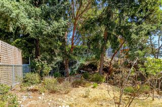 Photo 75: 3446 Karger Terr in Colwood: Co Triangle House for sale : MLS®# 940686
