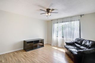 Photo 5: 3423 30A Avenue SE in Calgary: Dover Detached for sale : MLS®# A1114243