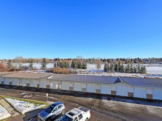 Photo 16: 307 300 Edwards Way NW: Airdrie Apartment for sale : MLS®# A2013227
