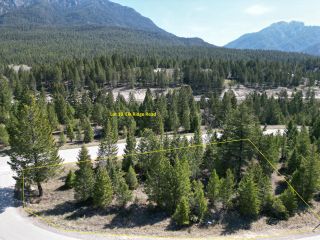 Photo 10: Lot 10 - 7050 ELK RIDGE ROAD in Radium Hot Springs: Vacant Land for sale : MLS®# 2463147