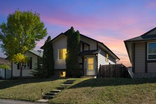 Main Photo: 106 Abalone Crescent NE in Calgary: Abbeydale Detached for sale : MLS®# A2003308