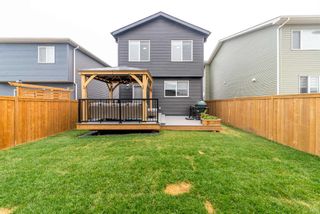Photo 35: 213 Wolf Willow Boulevard SE in Calgary: C-281 Detached for sale : MLS®# A2130987