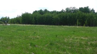 Photo 10: 514 54411 RR 40: Rural Lac Ste. Anne County Rural Land/Vacant Lot for sale : MLS®# E4239941