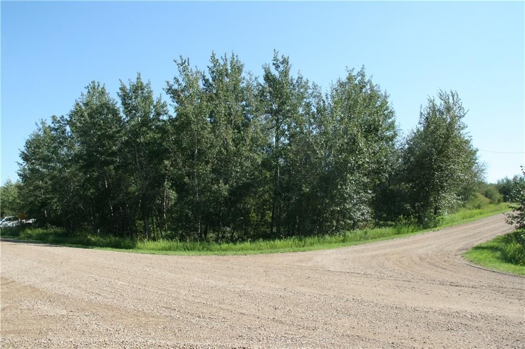 Main Photo: 7 Buffalo Drive in Rural Stettler No. 6, County of: Rural Stettler County Residential Land for sale : MLS®# A1191167