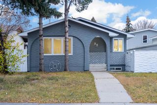 Photo 37: 32 Doverview Place SE in Calgary: Dover Detached for sale : MLS®# A2008712